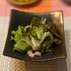 小松菜レタスの海苔サラダ